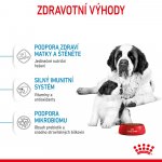 Royal Canin Starter Mother&Babydog Giant 15 kg – Sleviste.cz