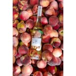 Minuty M Rosé Limited Edition 2025 0,75 l (holá láhev) – Hledejceny.cz