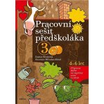 Pracovní sešit předškoláka 3, 4-6 let - Příprava dítěte na úspěšný start ve škole - Ivana Novotná – Hledejceny.cz