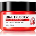 Some By Mi Snail Truecica Miracle Repair Cream 60 ml – Zboží Mobilmania
