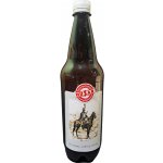 Husar světlý ležák 11° 1 l (pet) – Zboží Dáma