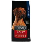 Cibau Dog Adult Maxi 12 kg – Hledejceny.cz