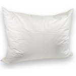 Brotex Péřový polštář CLASSIC 1100 g krémový 70x90 – Zboží Mobilmania