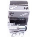 SKV EGR ventil Hyundai i20 (PB) i30 (FD,GD) ix20 (JC) 1.4–1.6 CRDi | Zboží Auto