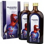 GRAMME REVIT GmbH Hyalutidin Mobility HCC 2 x 500 ml – Hledejceny.cz