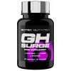 Scitec Nutrition GH Surge 74 g