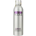 Danzka Currant 40% 1 l (holá láhev) – Sleviste.cz