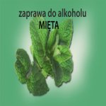 Flavorika lihové aroma Máta 30 ml – Zbozi.Blesk.cz