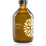 Vigo Kombucha acerola a zázvor bio 315 ml – Zboží Dáma