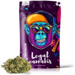 Strawberry Kush Kvet CBD 8% THC 0.3% 5 g – Zbozi.Blesk.cz