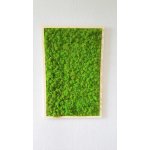 Mechový obraz v dřevěném rámu 100cm x 65cm – Zboží Dáma