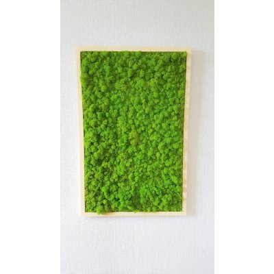 Mechový obraz v dřevěném rámu 100cm x 65cm – Zboží Dáma