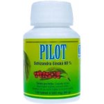 Hemann Pilot schizandra čínská 60% 100 tablet – Hledejceny.cz