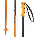 Elan SPEEDROD 2018/19 – Sleviste.cz