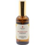 Indian Natural Hair Care bylinná voda z heřmánku 100 ml – Hledejceny.cz