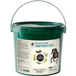 Leros Čaj Balneum Horse 25 x 30 g – Hledejceny.cz
