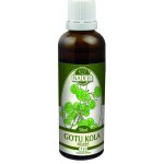 Naděje Gotu Kola Bráhmí 50 ml tinktura z bylin – Hledejceny.cz