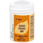 AKH Solidago Virgaurea 60 tablet – Hledejceny.cz
