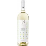 Feudi Salentini 125 Bianco Biologico 2024 12,5% 0,75 l (holá láhev) – Hledejceny.cz