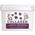 Dromy Collagen 2,5 kg – Hledejceny.cz