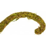 Repti Zoo liana s přírodním mechem 1,5 cm x 2 m – Zboží Dáma