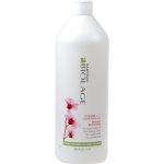 Matrix Biolage ColorLast Shampoo 1000 ml – Zbozi.Blesk.cz