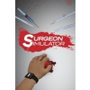 Surgeon Simulator 2013