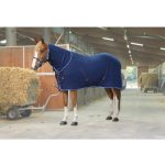 Riding World Odpocovací deka Polar Combo s krkem modrá – Hledejceny.cz