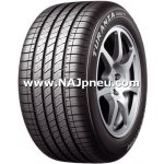 Bridgestone Turanza EL42 245/45 R19 98V – Hledejceny.cz