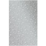 Heyda Fotokarton A4 jednostranný stříbrno bílý s vločkami 300g/m2 (5ks) – Zboží Dáma