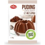 Amylon Bio čokoládový pudink 40 g – Zboží Mobilmania