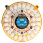 Brinsea Maxi 48 EX Connect chytrá líheň pro slepice křepelky i husy – Hledejceny.cz