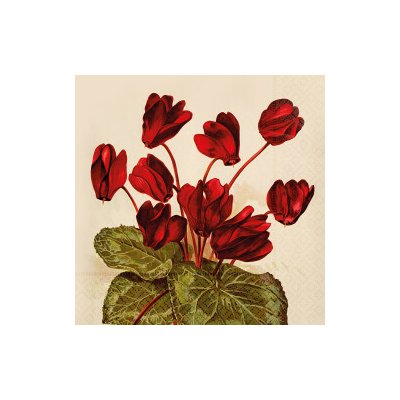 Papírový ubrousek Orange Autumn Plants Cyclamen – Hledejceny.cz