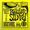 Ernie Ball 2221