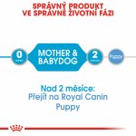 Royal Canin Starter MOUSSE 195 g – Zbozi.Blesk.cz