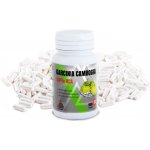 VALKNUT Garcinia Cambogia 100 kapslí – Zboží Dáma