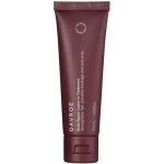 Davroe Ends Repair Leave-In Treatment 50 ml – Hledejceny.cz