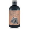 Šampon Bes Fragrance Papaya a Goji šampon na vlasy 300 ml