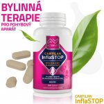 Altervet Cartilan Inflastop 135 g 100 tbl – Zboží Mobilmania