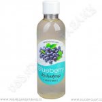 ShishaSyrup Melasa Borůvka 100 ml – Zboží Dáma