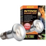 Hagen ExoTerra Day Glo Tight Beam 75 W – Hledejceny.cz