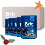 Brit Premium Cat Kitten Chicken Chunks 24 x 100 g – Zboží Mobilmania