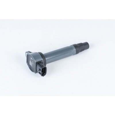 Zapalovací cívka BorgWarner (BERU) ZSE207 – Zboží Mobilmania