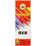 Koh-i-noor 8755 souprava pastelek v laku Progresso 6 ks – Zbozi.Blesk.cz