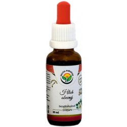 Salvia Paradise Hloh obecný AF tinktura 30 ml