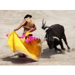 WEBLUX 33120489 Fototapeta papír corrida bullfight aréna twisted rozměry 360 x 266 cm – Hledejceny.cz