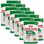 Royal Canin Mini Adult 12 x 85 g – Zboží Mobilmania