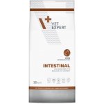 VetExpert Veterinary Diet 4T Intestinal Dog 12 kg – Zboží Mobilmania