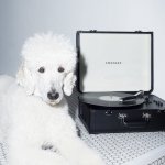 Crosley Portfolio – Hledejceny.cz