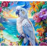 NORIMPEX Diamantové malování Papoušek Kakadu 30 x 40 cm – Sleviste.cz